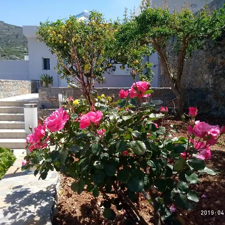 Kavousanos Apartahotel